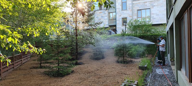 НОГООН БАЙГУУЛАМЖИЙН УСАЛГАА